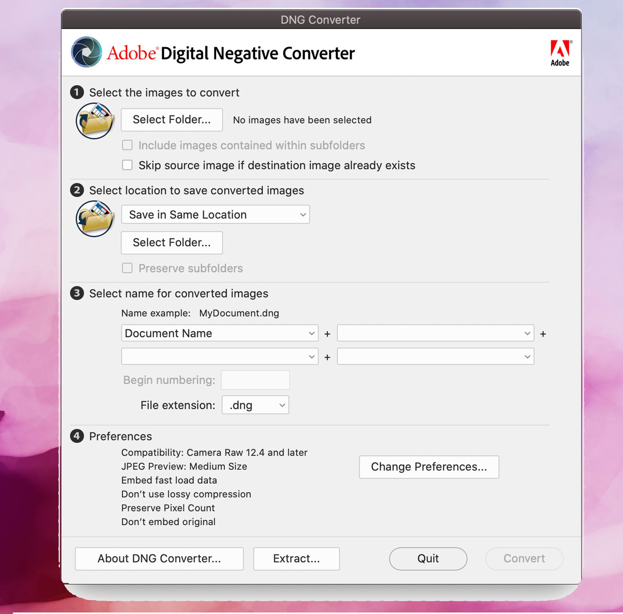 Zrzut ekranu Adobe DNG Converter, Konwertuj obrazy DNG na JPEG..