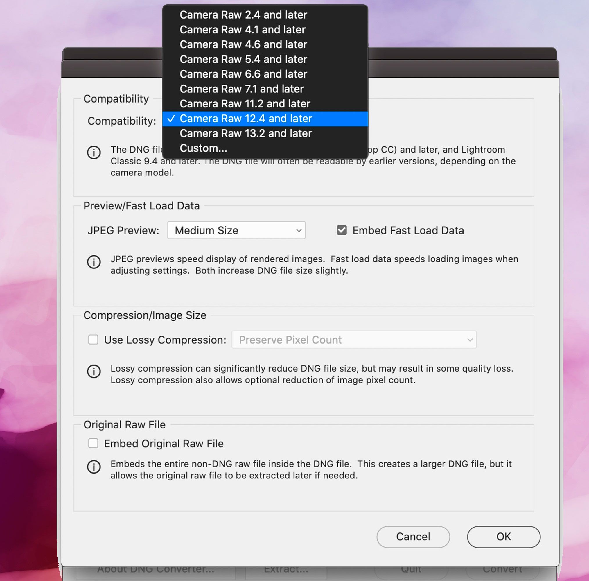 Zrzut ekranu Adobe DNG Converter, Preferencje zgodności..