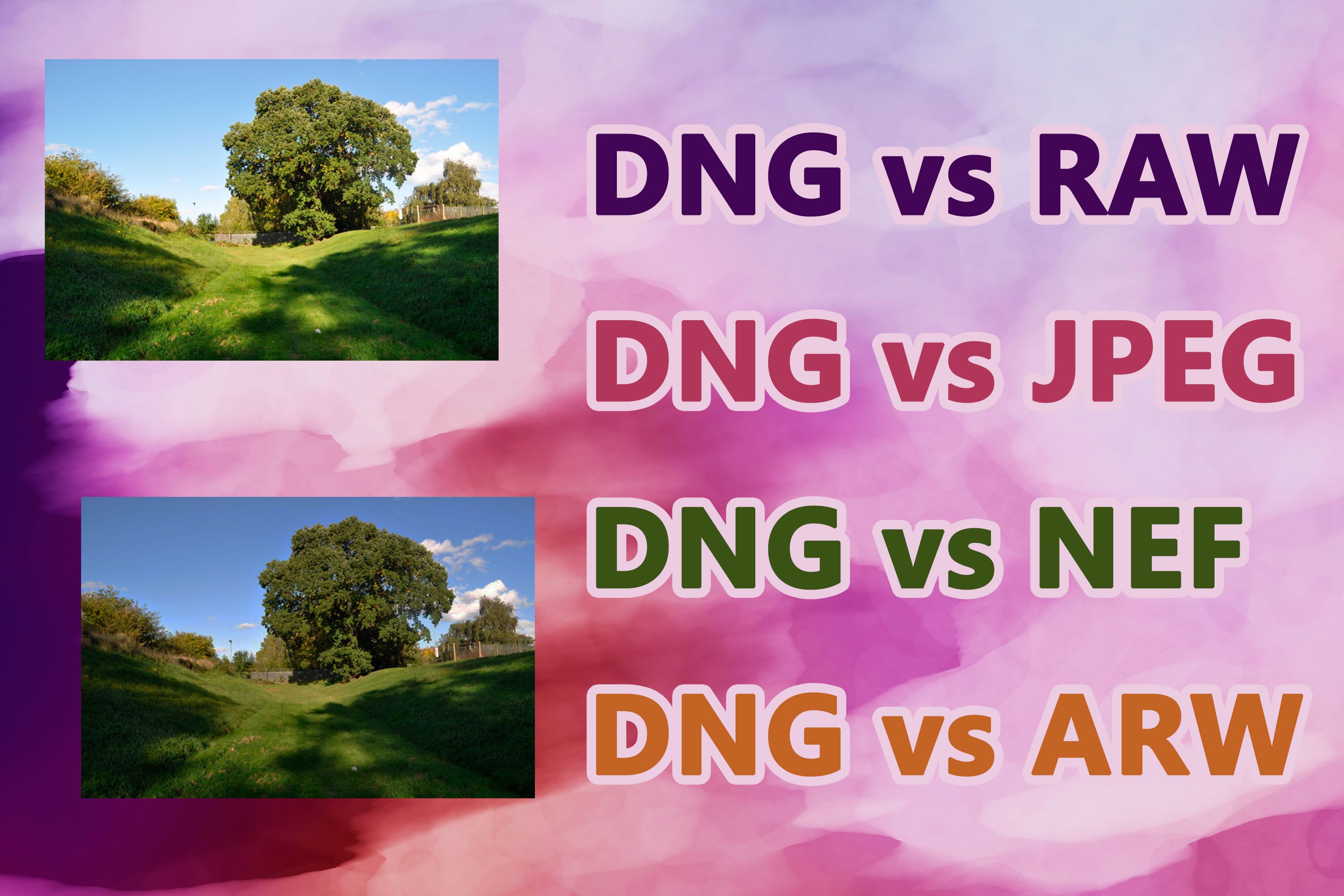 Formaty DNG vs. RAW..