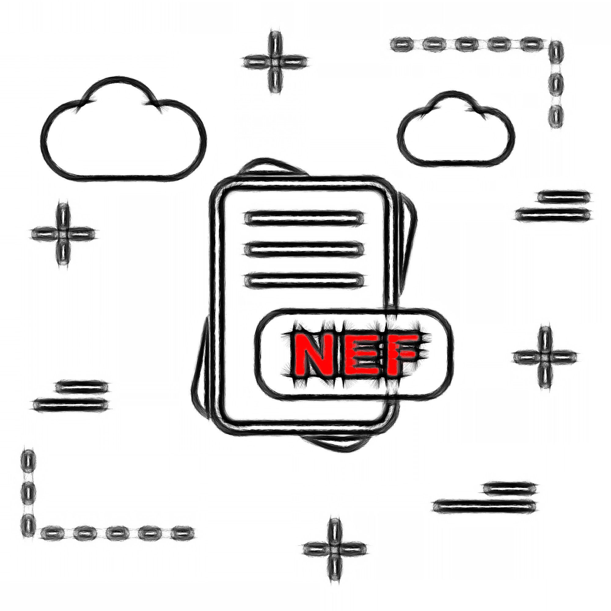 Format pliku NEF..