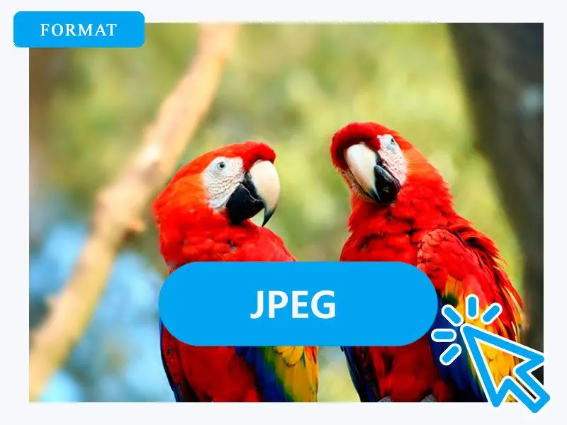 Wybierz JPG jako format wyjściowy.