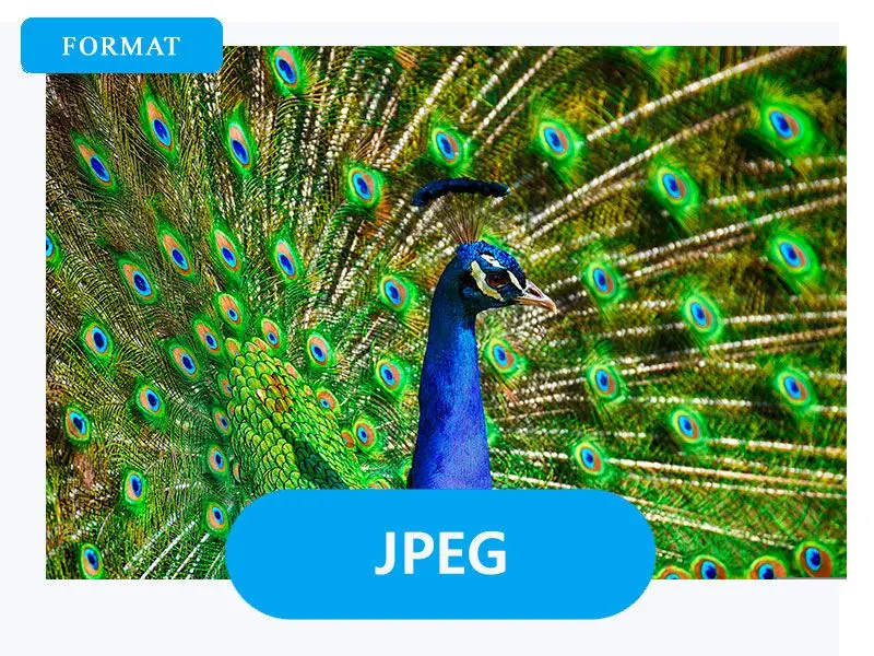 Wybierz JPG jako format wyjściowy.