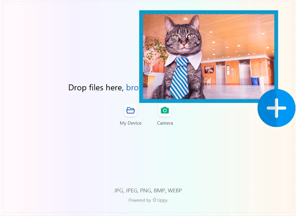 Prześlij obraz początkowy.