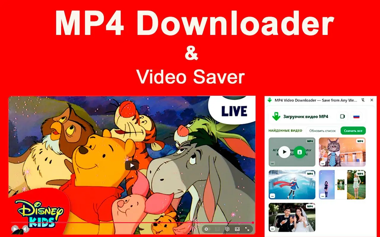Ograniczenia MP4 Downloader & rozszerzenia Chrome.