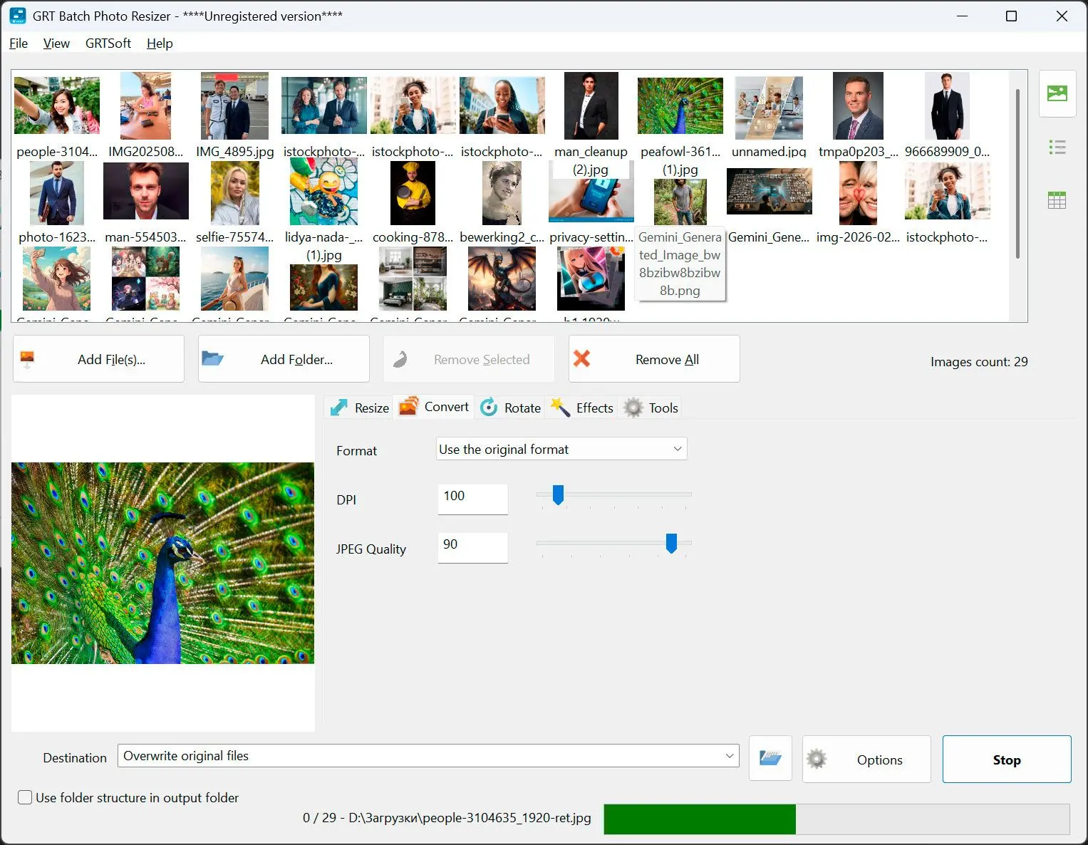 Uruchom i sprawdź folder wyjściowy.
