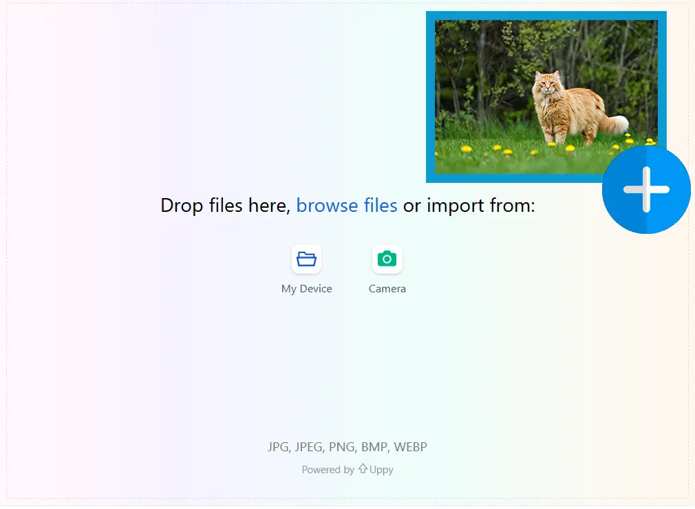 Załaduj Obraz Referencyjny.