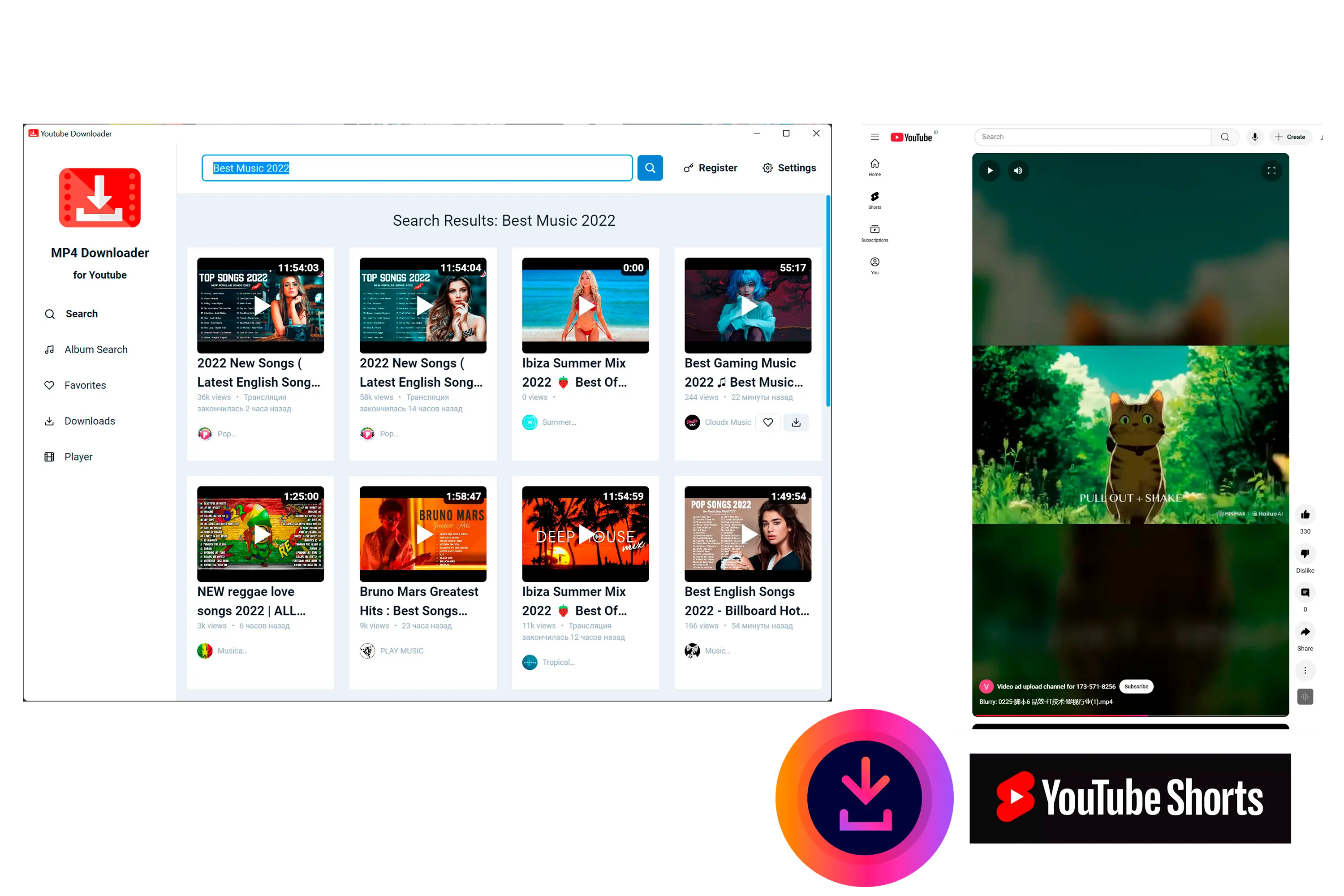 MP4 Downloader for Youtube Zrzut ekranu.